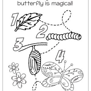 C Is For Caterpillar Butterfly Life Cycle